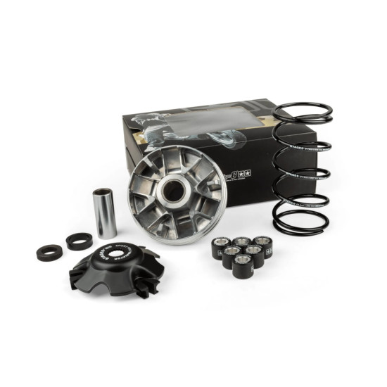 Piaggio / Gilera Stage6 Sport Pro MK2 variator