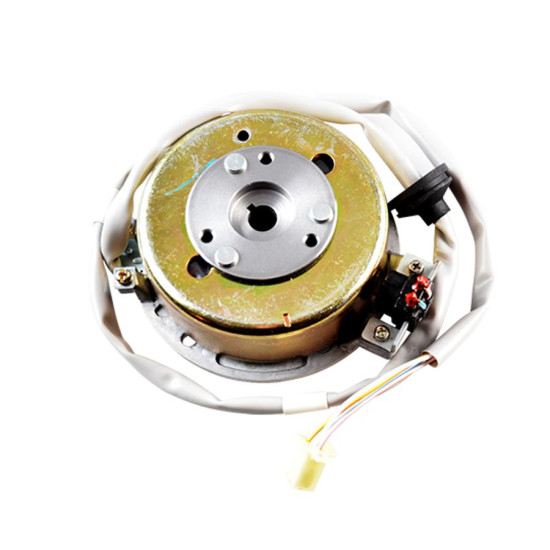 Teknix standard type ignition Minarelli from 2004 (12 coils)