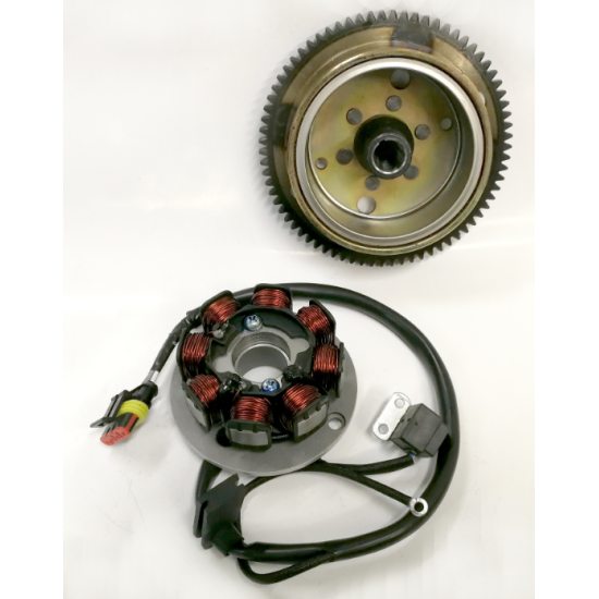Minarelli AM6 ignition kit (magnet + windings)