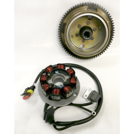 Minarelli AM6 ignition kit (magnet + windings)