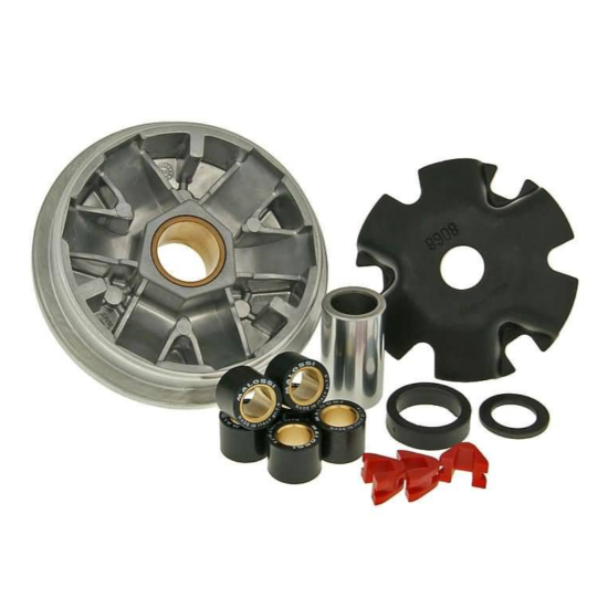Honda Ruckus 50 NPS50 Malossi Multivar variator