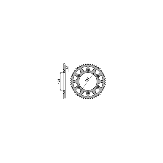 PBR galinė žvaigždė 289 53...