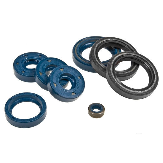 Aprilia 125 (Rotax 123) engine oil seal kit