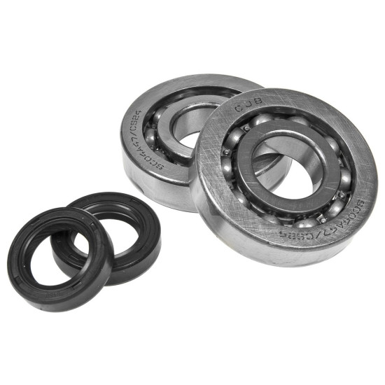 Piaggio / Gilera 50 crankshaft Top Performances bearing set