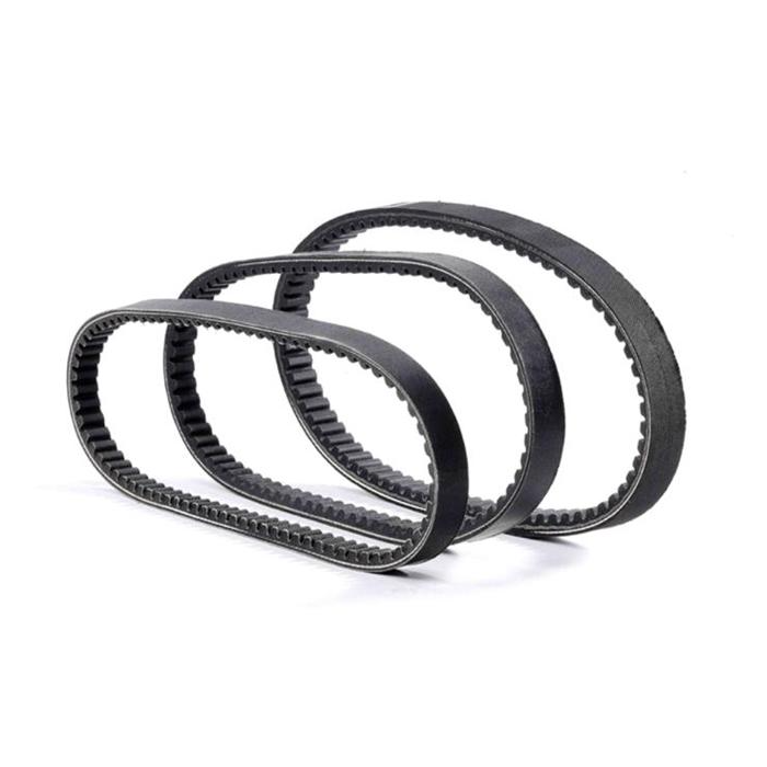 ARIETE drive belt (10995)
