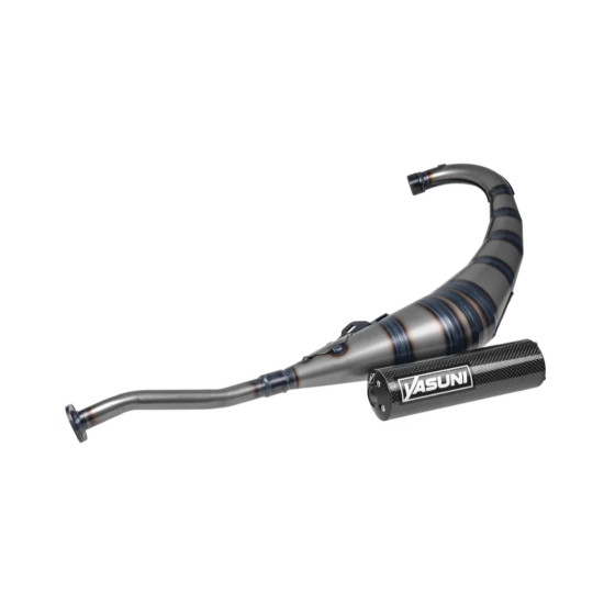 Yasuni R2 Carbon Yamaha TZR / Aprilia RS (Minarelli AM6) dust