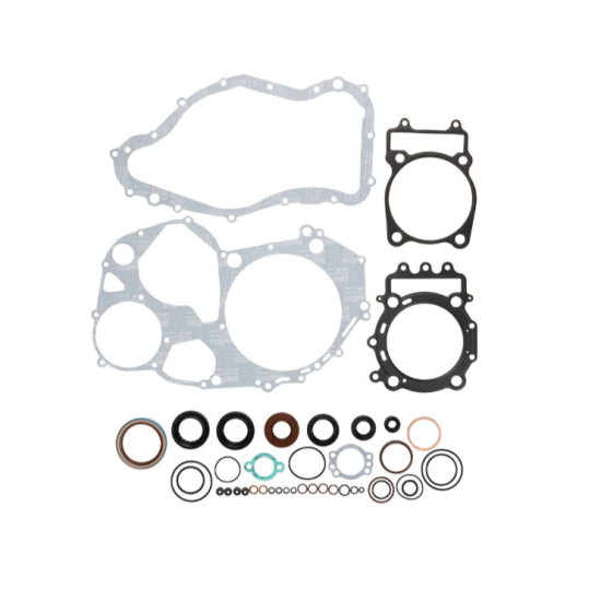 WINDEROSA (VERTEX) engine gasket set with oil seals ARCTIC CAT 700 EFI 08-14, 700 TRV 08-12, PROWLER 700 HDX 12-14,