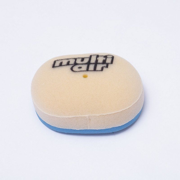 MULTI AIR Air filter of the vehicle