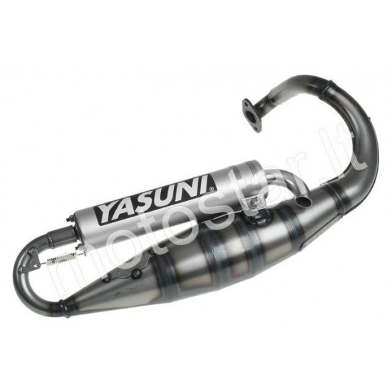 Yasuni R Peugeot Vertical duslintuvas