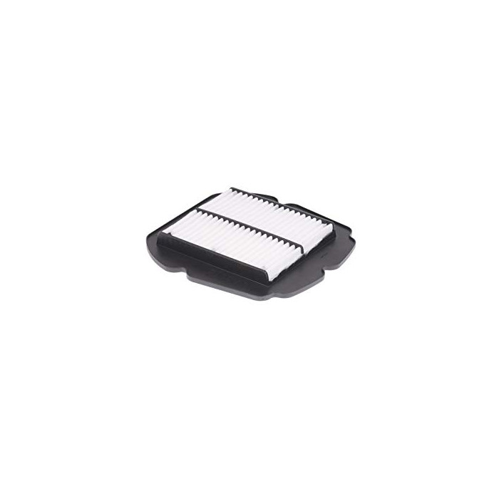 BIKETEC oro filtras SUZUKI SFV 650 GLADIUS 09-14 (HFA3618)