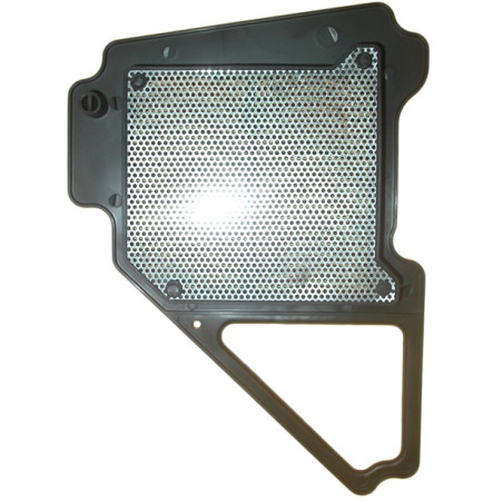 BIKETEC oro filtras YAMAHA YBR 125 (05-16) (5VL-E4450-10) (HFA4103)