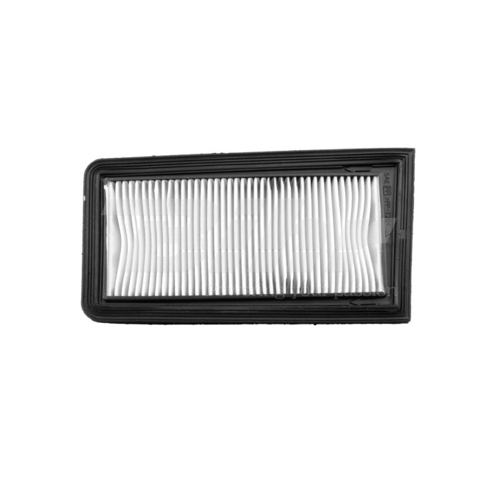 VICMA oro filtras SUZUKI AN 650 BURGMAN 02-18 (14526)