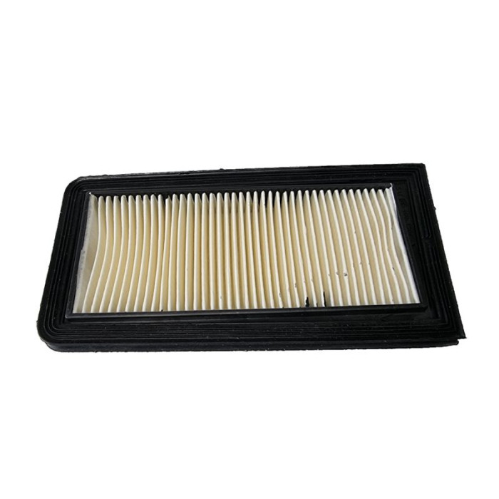 BIKETEC air filter SUZUKI AN 650 BURGMAN '02-18, (OEM 13780-10G00) (HFA3619)