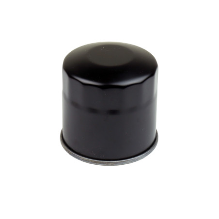 ATHENA tepalo filtras HONDA VT/VF/VN 750 (HF202)