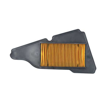 MIW (MEIWAThe air filter YAMlit_Latn LTS-C 125 D'ELIGHT '17 TO 19, (50)