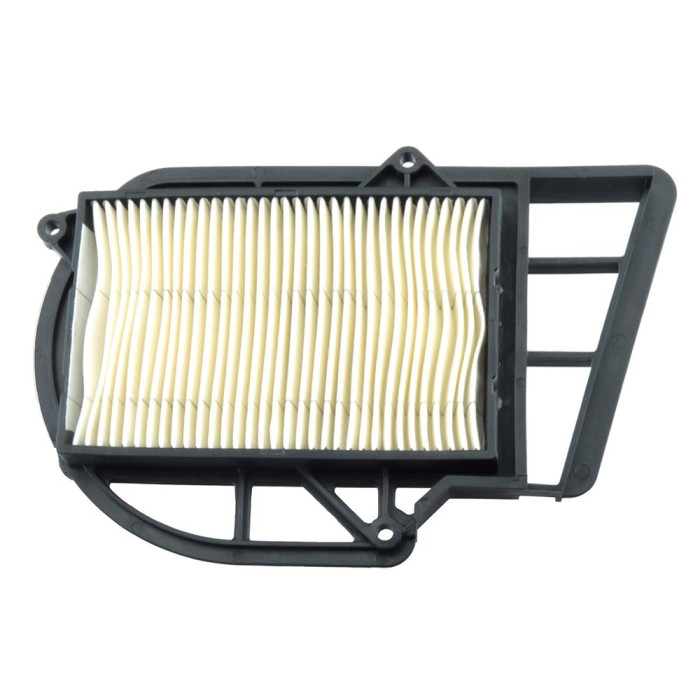 VICMA air filter - filter sponge ITALJET JUPITER, MALAGUTI PASSWORD, YAMAHA VPRAWY YP 250/300 2000-2012 (14513)