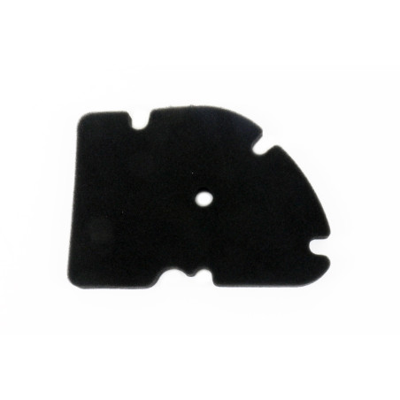 ATHENA oro filtras GILERA OREGON 250 ATV '06-'10