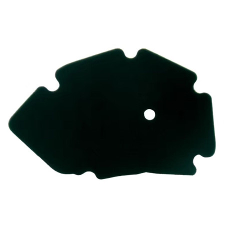 ATHENA 2022/04 gold filters PIAGGIO X9 125/180 '00-'03, GILERA RUNNER 125/180 '00-'01 (OEM: 827936)