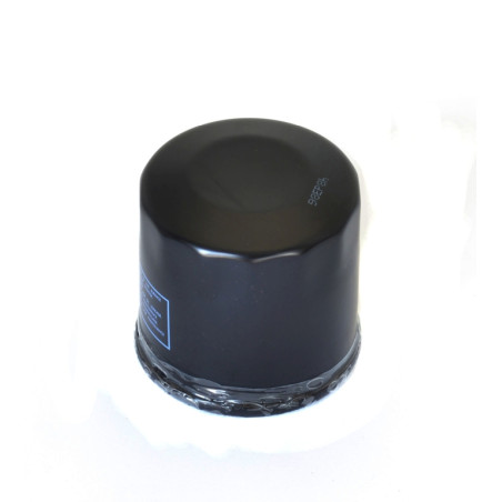 ATHENA tepalo filtras TRIUMPH 600/800/955 (HF191)